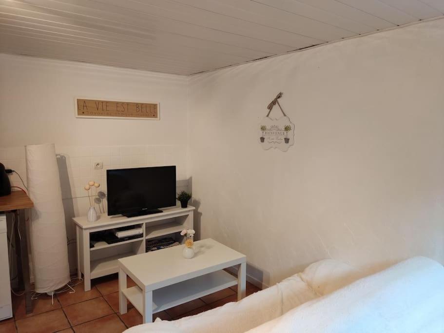 Appartement En Rez De Jardin Et Terrasse Ds Villa Hyères Extérieur photo