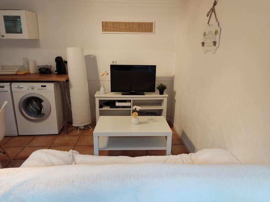 Appartement En Rez De Jardin Et Terrasse Ds Villa Hyères Extérieur photo